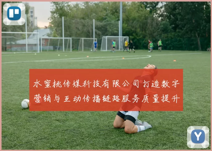 水蜜桃传媒科技有限公司打造数字营销与互动传播链路服务质量提升