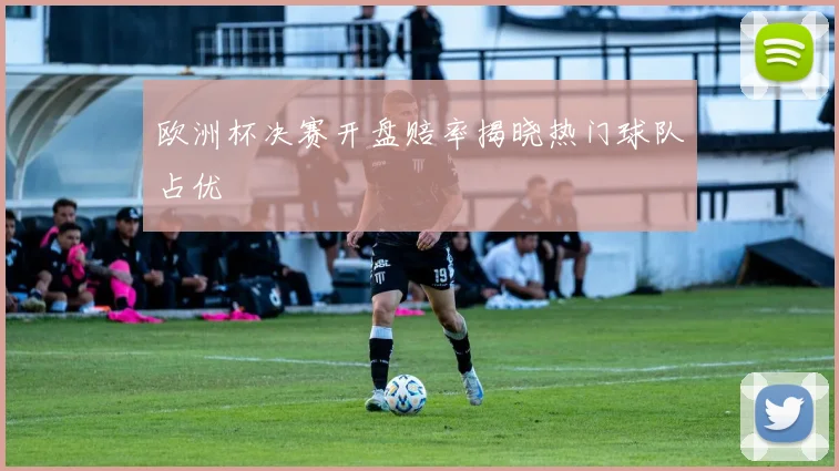 欧洲杯决赛开盘赔率揭晓热门球队占优